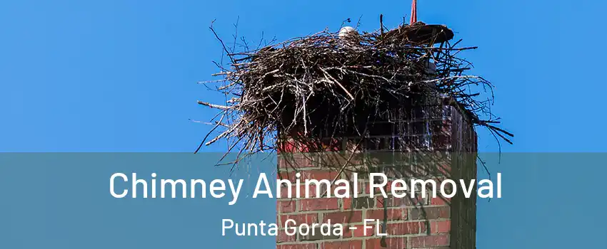 Chimney Animal Removal Punta Gorda - FL