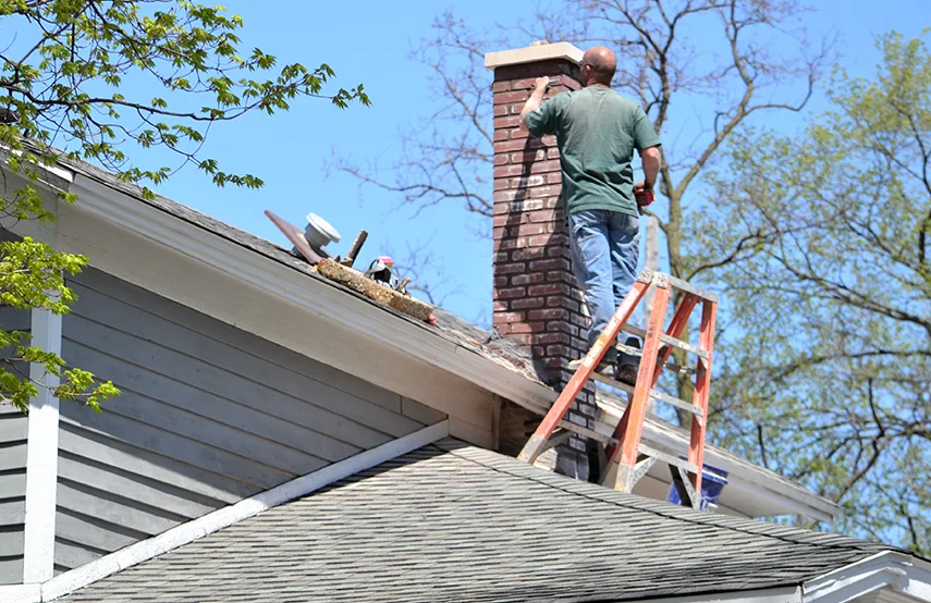 Chimney & Fireplace Inspections Services in Punta Gorda, FL