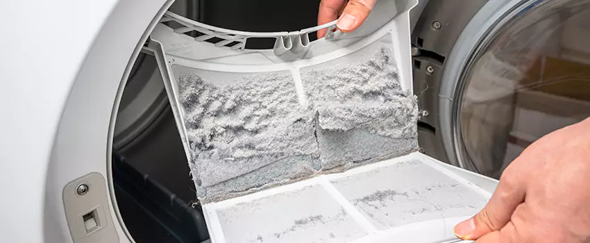 Best Dryer Lint Removal Company in Punta Gorda, Florida
