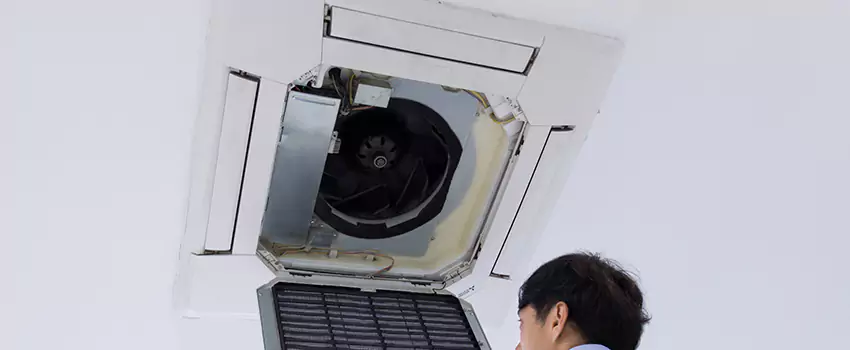 Benefits of Professional Air Duct Cleaning in Punta Gorda, Florida